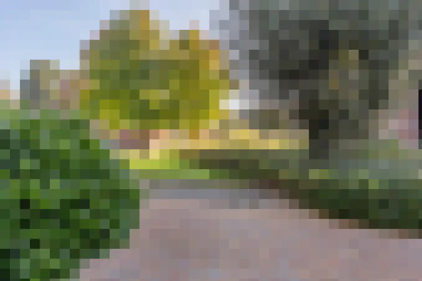 Hazenleger 30 Gorinchem thumbnail 34