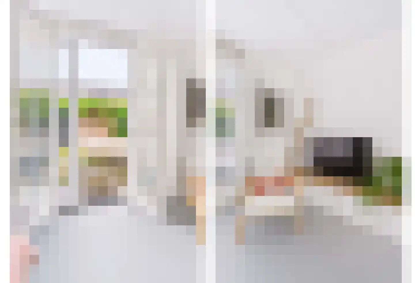Hazenleger 33 Apeldoorn thumbnail 19