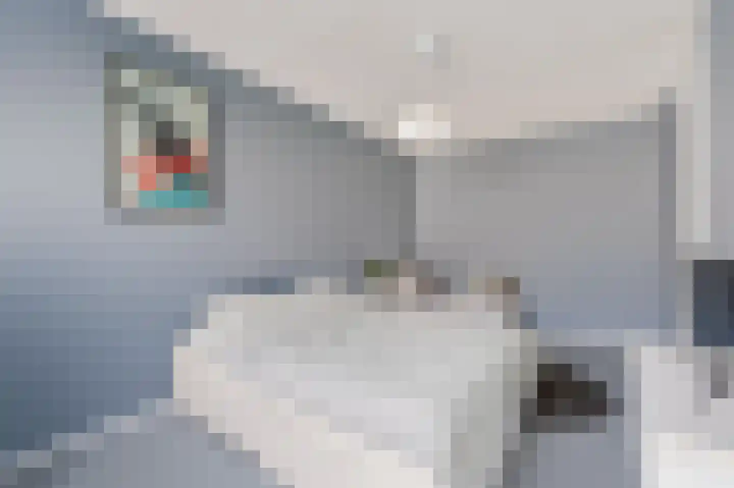 Hazenleger 33 Apeldoorn thumbnail 22