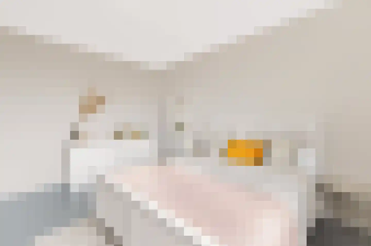 Hazenleger 33 Apeldoorn thumbnail 23