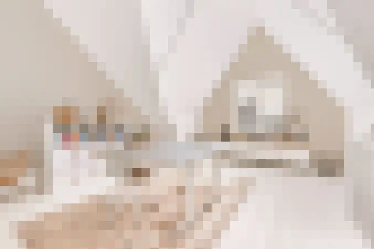 Hazenleger 33 Apeldoorn thumbnail 5