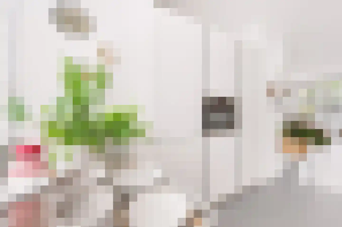 Hazenleger 33 Apeldoorn thumbnail 9