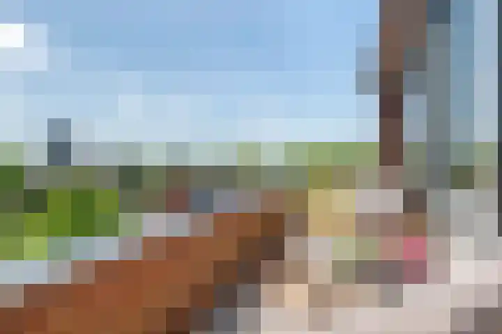 Hazenleger 41 Gorinchem thumbnail 18