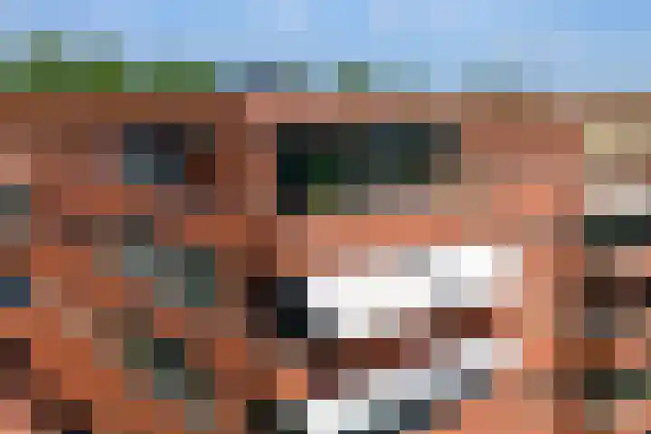 Hazenleger 41 Gorinchem thumbnail 34