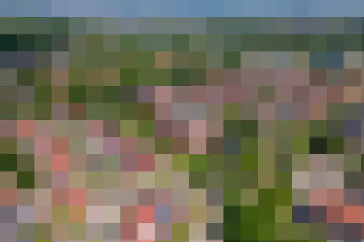 Hazenleger 41 Gorinchem thumbnail 35
