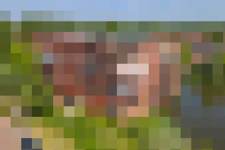 Hazenleger 41 Gorinchem thumbnail 4