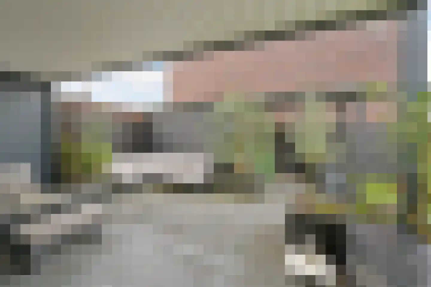 Hazenleger 6 Moordrecht thumbnail 38