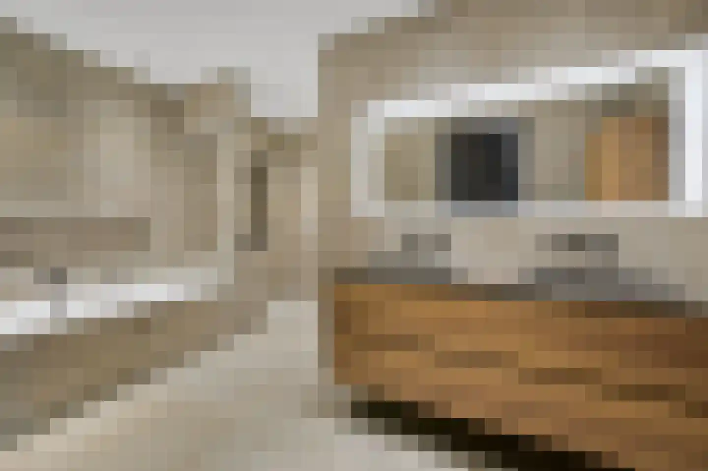 Hazenleger 6 Moordrecht thumbnail 4