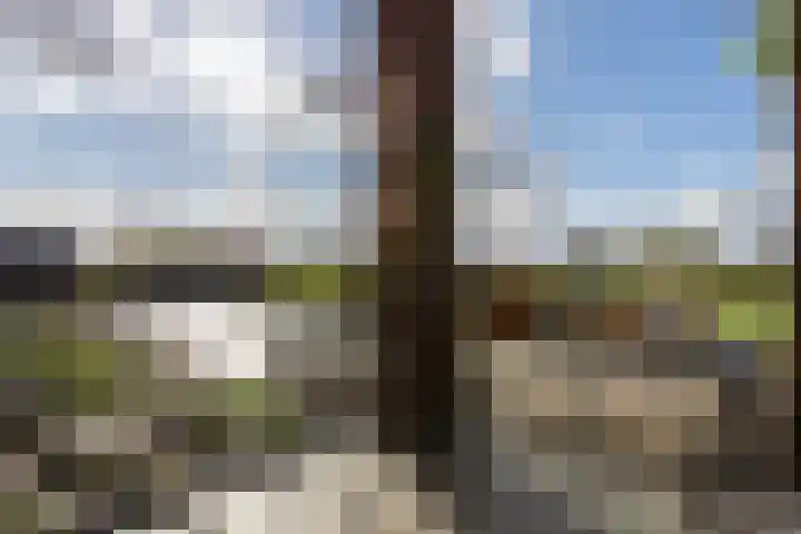 Hazenleger 9 Moordrecht thumbnail 24