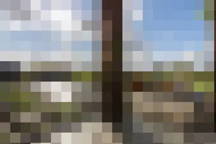 Hazenleger 9 Moordrecht thumbnail 4