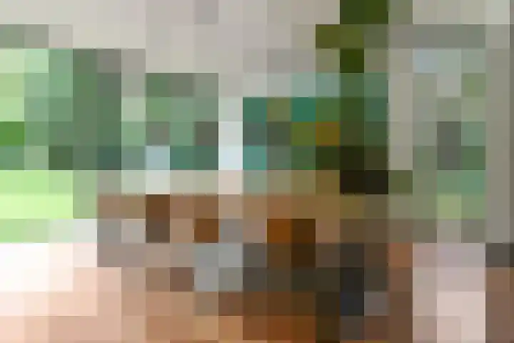 Hazenloop 15 Eindhoven thumbnail 13