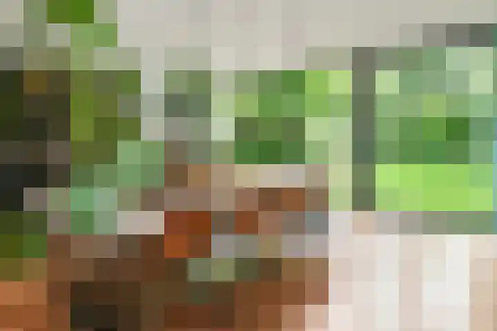 Hazenloop 15 Eindhoven thumbnail 14
