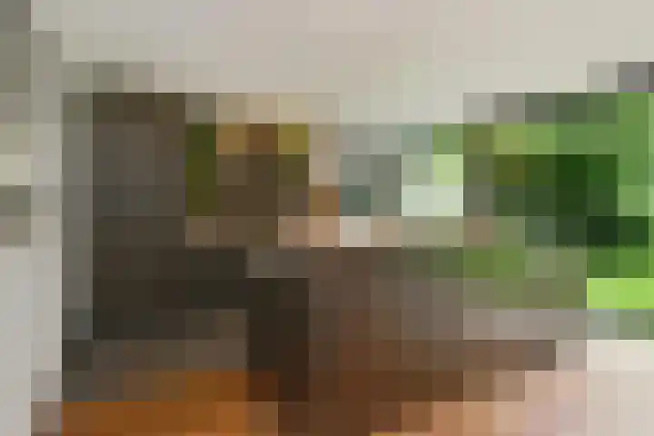 Hazenloop 15 Eindhoven thumbnail 17