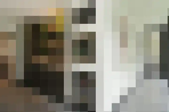 Hazenloop 15 Eindhoven thumbnail 19