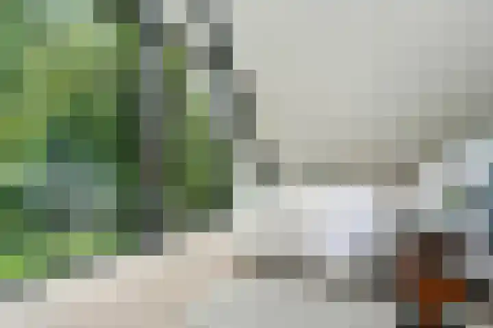 Hazenloop 15 Eindhoven thumbnail 27
