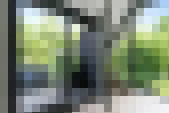 Hazenloop 15 Eindhoven thumbnail 30