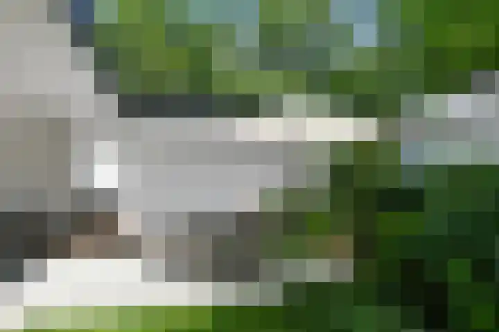 Hazenloop 15 Eindhoven thumbnail 39