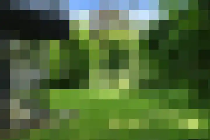 Hazenloop 15 Eindhoven thumbnail 40