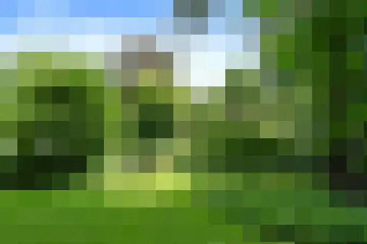 Hazenloop 15 Eindhoven thumbnail 41