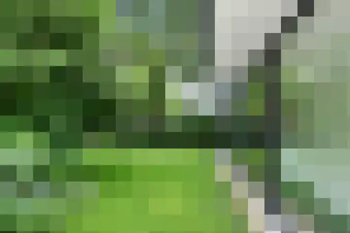 Hazenloop 15 Eindhoven thumbnail 44