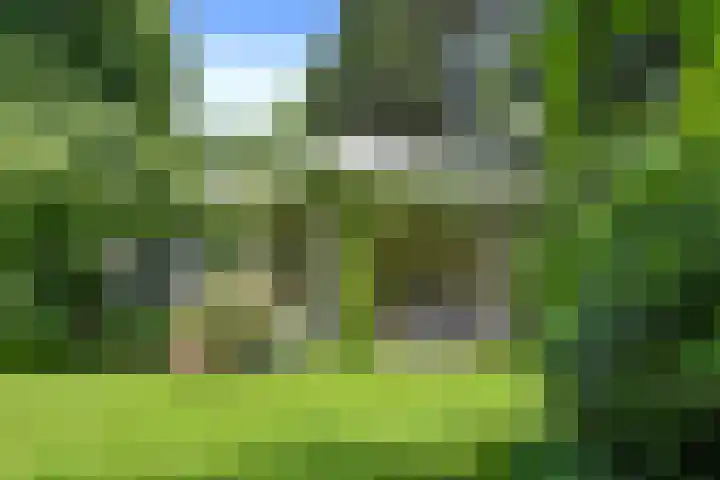 Hazenloop 15 Eindhoven thumbnail 45