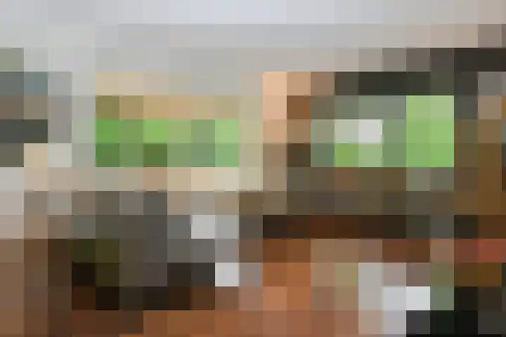 Hazenloop 15 Eindhoven thumbnail 5