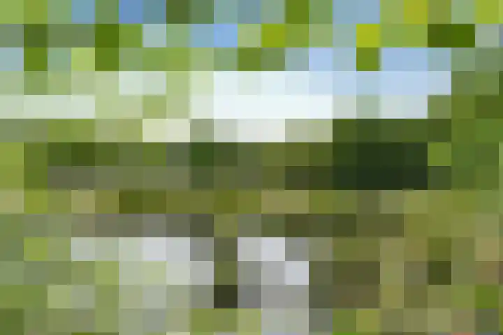 Hazenloop 15 Eindhoven thumbnail 50