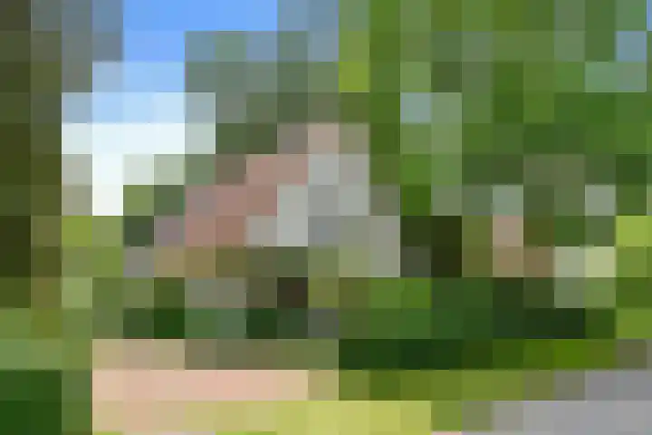 Hazenloop 15 Eindhoven thumbnail 56