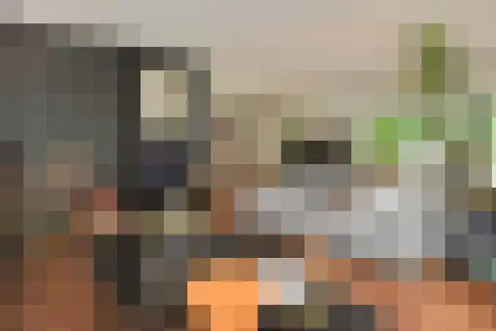 Hazenloop 15 Eindhoven thumbnail 7