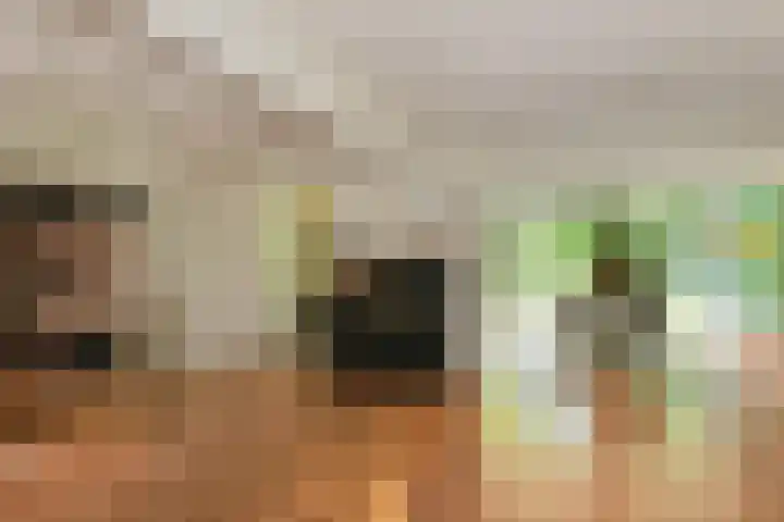 Hazenloop 15 Eindhoven thumbnail 8