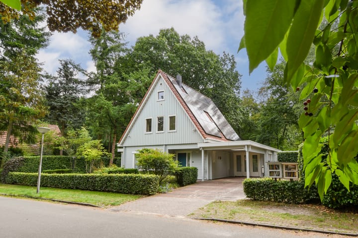 Hazenloop 29 in Eindhoven Foto