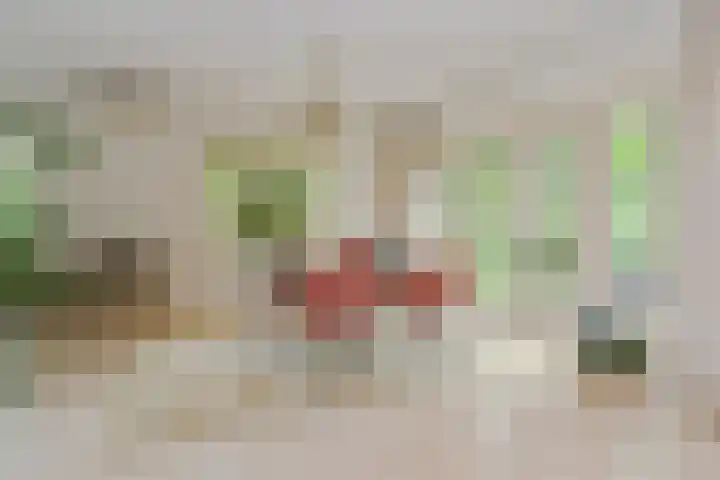 Hazenloop 29 Eindhoven thumbnail 12