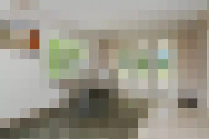 Hazenloop 29 Eindhoven thumbnail 15