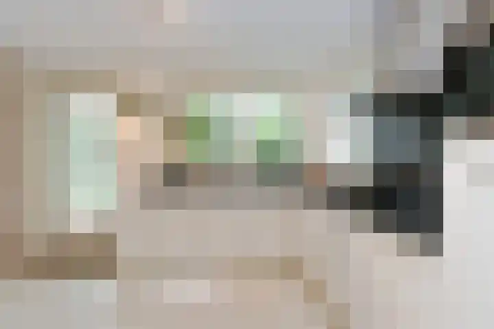 Hazenloop 29 Eindhoven thumbnail 18