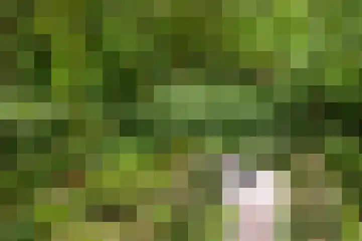 Hazenloop 29 Eindhoven thumbnail 28