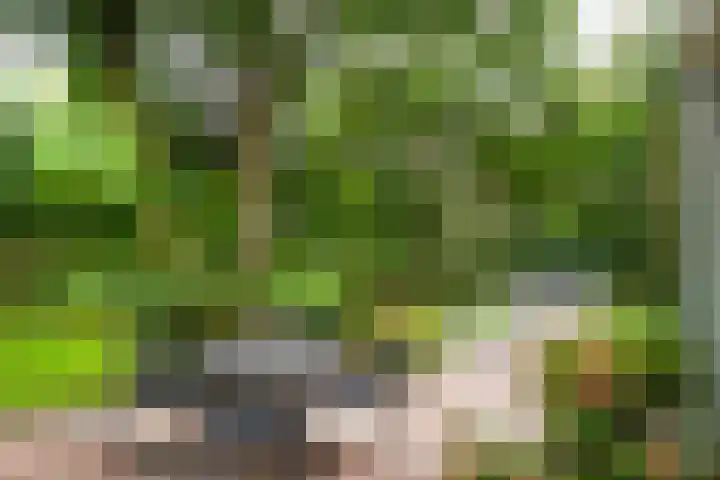 Hazenloop 29 Eindhoven thumbnail 29