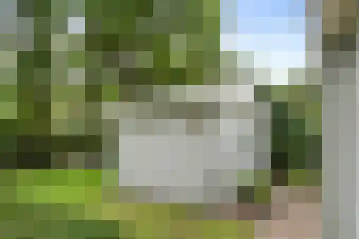 Hazenloop 29 Eindhoven thumbnail 31