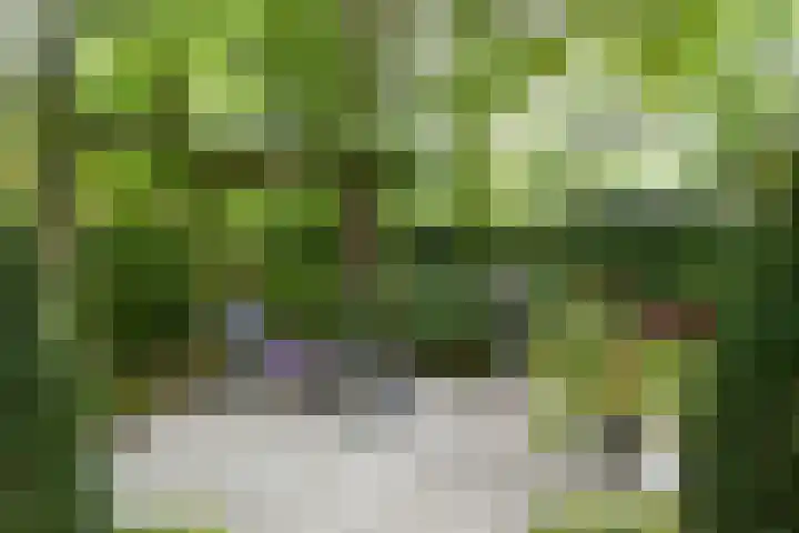 Hazenloop 29 Eindhoven thumbnail 32