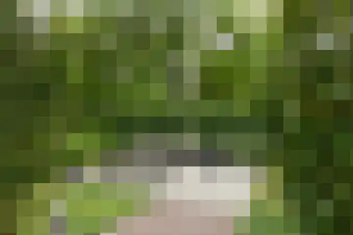 Hazenloop 29 Eindhoven thumbnail 33
