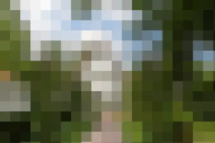 Hazenloop 29 Eindhoven thumbnail 34