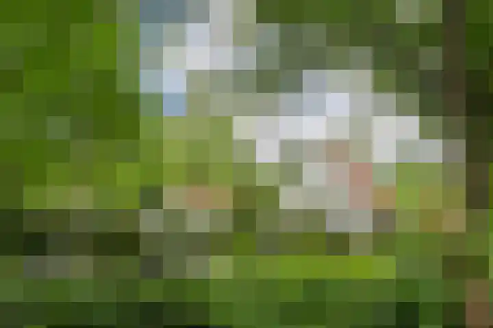 Hazenloop 29 Eindhoven thumbnail 35
