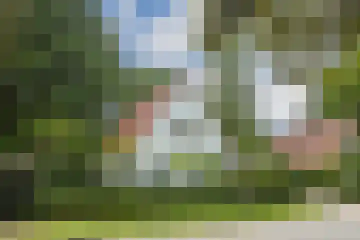 Hazenloop 29 Eindhoven thumbnail 5