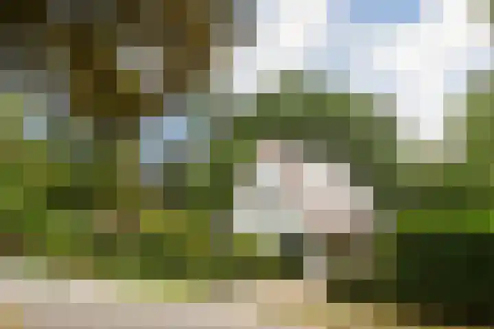 Hazenloop 29 Eindhoven thumbnail 6