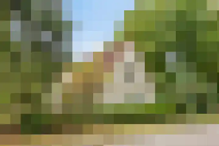 Hazenloop 33 Eindhoven