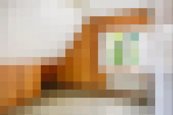Hazenloop 33 Eindhoven thumbnail 27