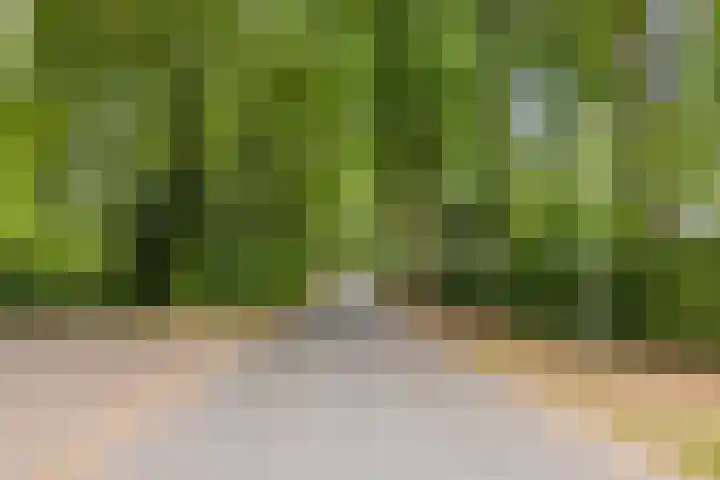 Hazenloop 33 Eindhoven thumbnail 28