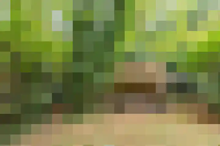 Hazenloop 33 Eindhoven thumbnail 36