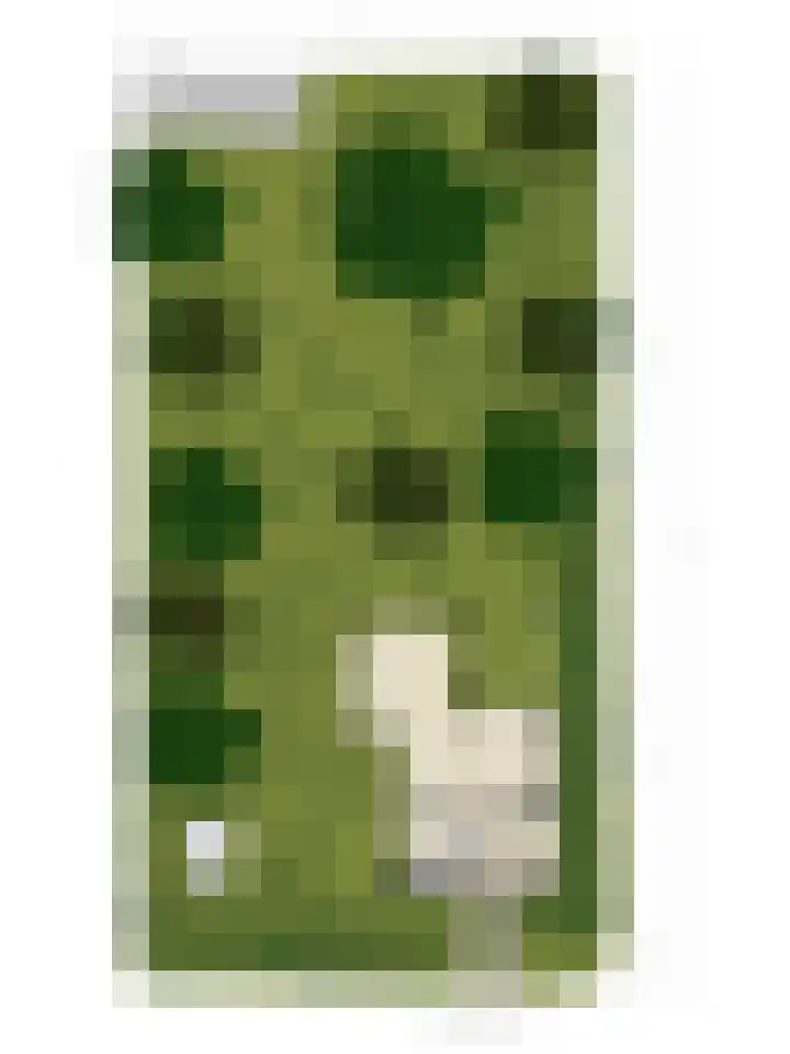 Hazenloop 33 Eindhoven thumbnail 38