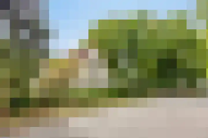 Hazenloop 33 Eindhoven thumbnail 7