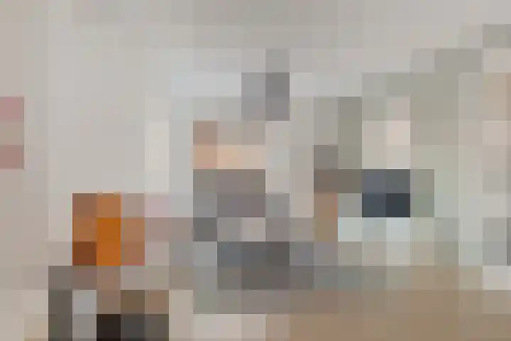 Hazenoor 3 Assen thumbnail 10
